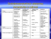 Bendroji jutimų charakteristika. Receptoriai ir specifiškumas. Temperatūros jutimas. Poikilotermai ir homotermai 6 puslapis