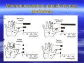Bendroji jutimų charakteristika. Receptoriai ir specifiškumas. Temperatūros jutimas. Poikilotermai ir homotermai 7 puslapis