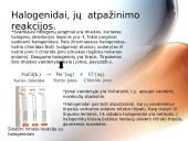 Bendrosios nemetalų savybės 9 puslapis