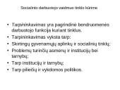 Bendruomenių tinklo kūrimas 13 puslapis