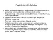 Bendruomenių tinklo kūrimas 17 puslapis