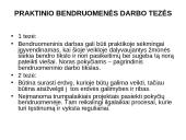 Bendruomenių tinklo kūrimas 18 puslapis