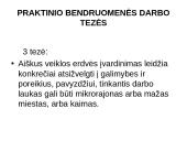 Bendruomenių tinklo kūrimas 19 puslapis