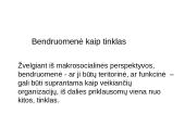 Bendruomenių tinklo kūrimas 4 puslapis