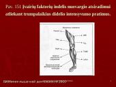 Biocheminiai nuovargio  faktoriai 14 puslapis
