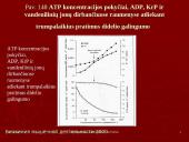 Biocheminiai nuovargio  faktoriai 8 puslapis