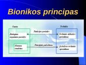 Bionika - biologija ir technika 4 puslapis