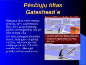 Bionika - biologija ir technika 6 puslapis