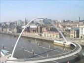 Bionika - biologija ir technika 7 puslapis