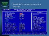 BIOS įvesties/išvesties sistema 12 puslapis