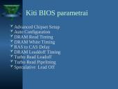 BIOS įvesties/išvesties sistema 13 puslapis