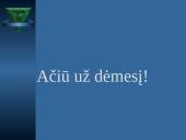 BIOS įvesties/išvesties sistema 17 puslapis