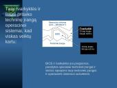 BIOS įvesties/išvesties sistema 7 puslapis