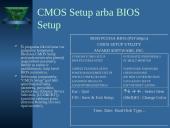 BIOS įvesties/išvesties sistema 10 puslapis