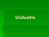 Bitė Vilimaitė 12 puslapis