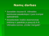 Bitė Vilimaitė 7 puslapis