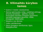 Bitė Vilimaitė 9 puslapis