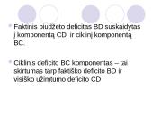 Biudžeto deficito ir valstybės skolos balansavimas 11 puslapis