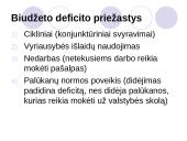 Biudžeto deficito ir valstybės skolos balansavimas 13 puslapis