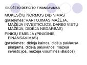 Biudžeto deficito ir valstybės skolos balansavimas 14 puslapis