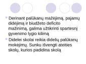 Biudžeto deficito ir valstybės skolos balansavimas 20 puslapis
