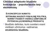 Biudžeto deficito ir valstybės skolos balansavimas 4 puslapis