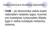 Biudžeto deficito ir valstybės skolos balansavimas 9 puslapis