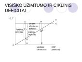 Biudžeto deficito ir valstybės skolos balansavimas 10 puslapis