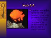 California state. United States of America (USA) 16 puslapis