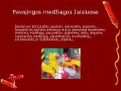 Cheminės medžiagos vaiko aplinkoje 5 puslapis