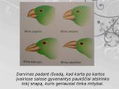 Čarlzo Darvino evoliucijos teorija 6 puslapis