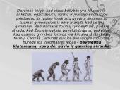 Čarlzo Darvino evoliucijos teorija 10 puslapis