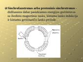 Dalelių greitintuvų rūšys 10 puslapis