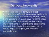 Darbo užmokesčio formos ir darbo užmokesčio bruožai 3 puslapis