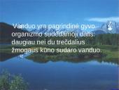 Deguonis. Vanduo. Vandenilis 11 puslapis