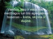 Deguonis. Vanduo. Vandenilis 13 puslapis