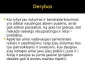 Delegacijos iš Airijos vizito vadyba 15 puslapis