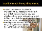 Delegacijos iš Airijos vizito vadyba 7 puslapis