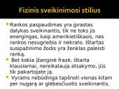 Delegacijos iš Airijos vizito vadyba 8 puslapis