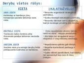 Derybos bei pasirengimas joms 14 puslapis