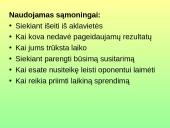 Derybų tipai 16 puslapis