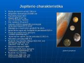 Jupiteris, Saturnas, Uranas, Neptūnas ir Plutonas 4 puslapis