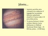 Didžiųjų planetų bendroji charakteristika 8 puslapis