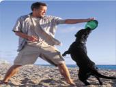 Dogs - our best friends 12 puslapis