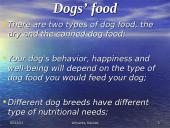 Dogs - our best friends 13 puslapis