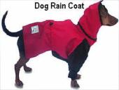 Dogs - our best friends 19 puslapis