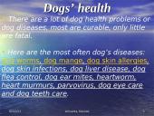 Dogs - our best friends 20 puslapis