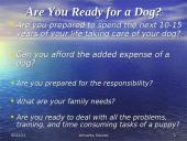 Dogs - our best friends 4 puslapis