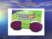 Dogs - our best friends 7 puslapis