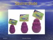 Dogs - our best friends 10 puslapis